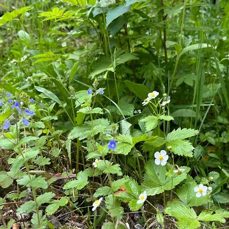 Villa Tahkon Riihiranta - 4 Bedroom With View - Tilava Moekki Rantanaekymin *
